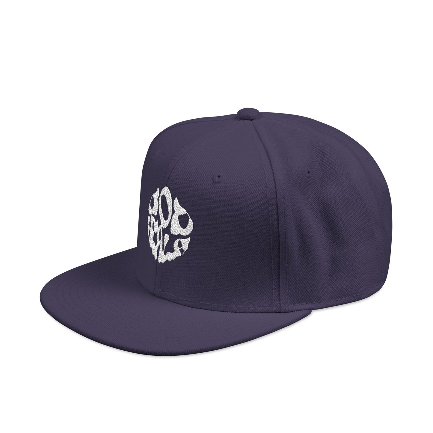 God Heals Embroidered Paw Print Snapback Hat