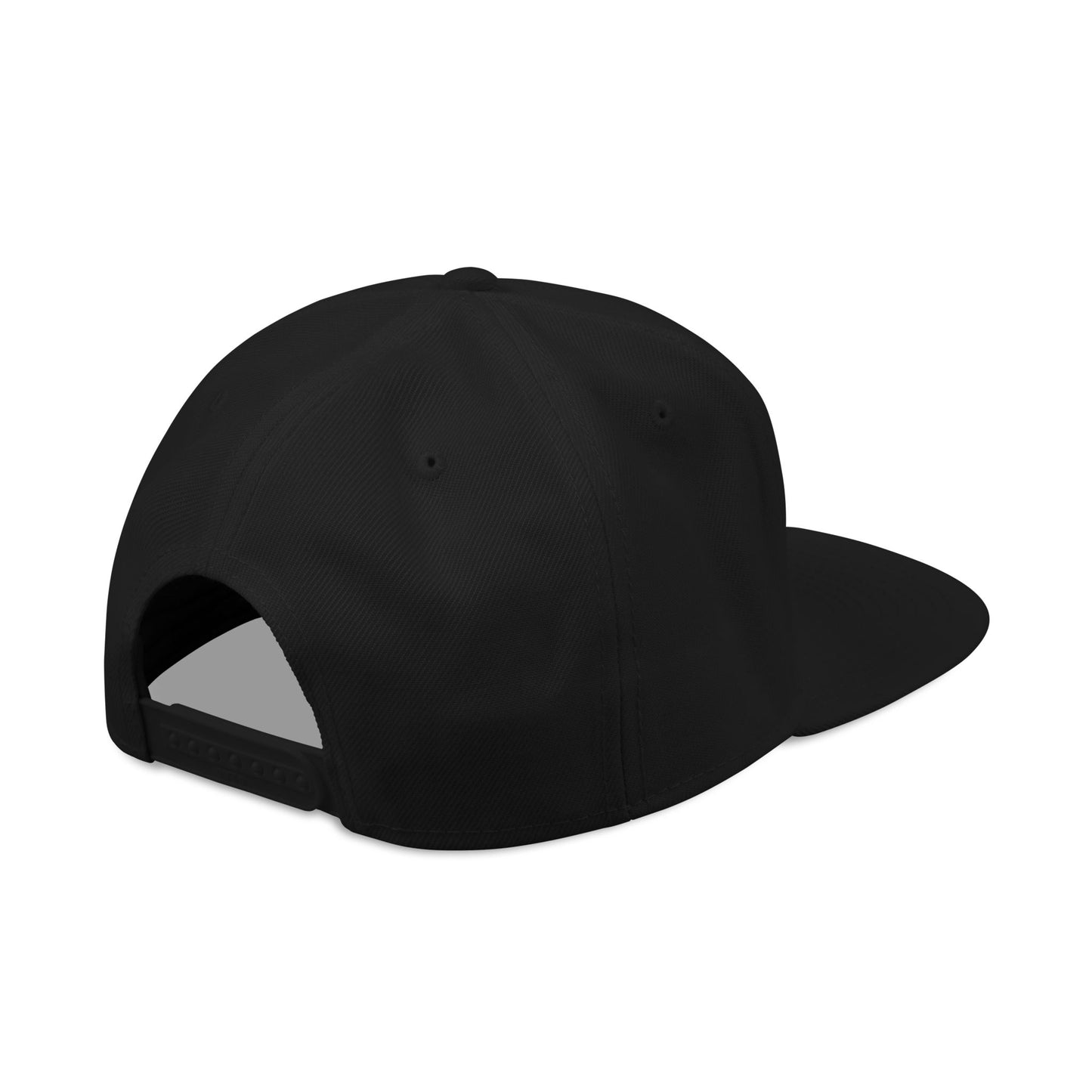 God Heals Embroidered Paw Print Snapback Hat
