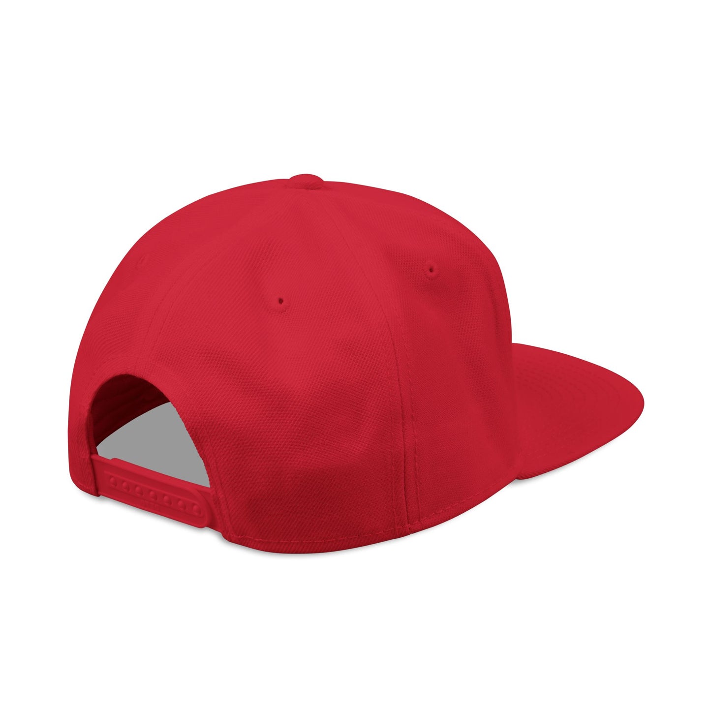 God Heals Embroidered Paw Print Snapback Hat