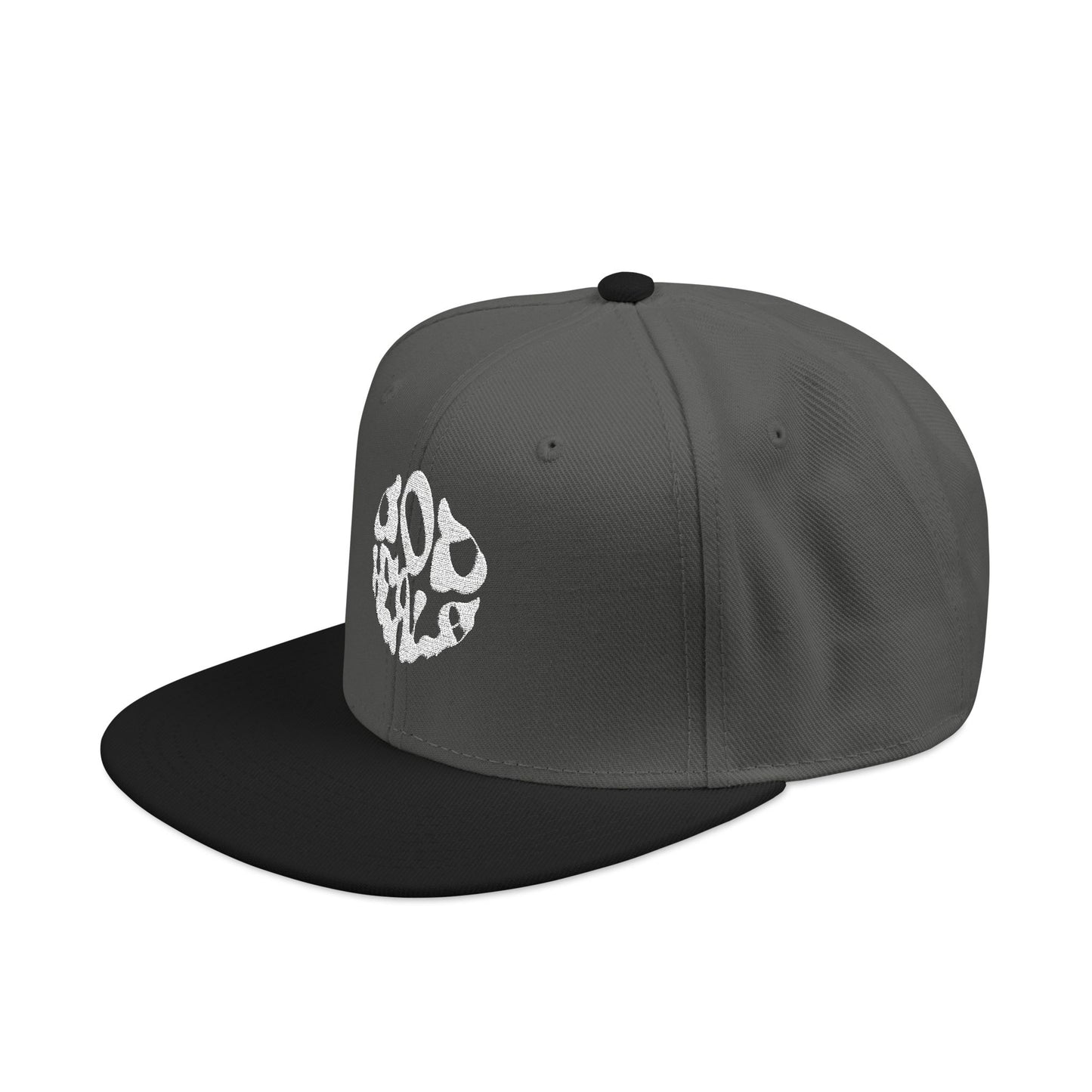 God Heals Embroidered Paw Print Snapback Hat