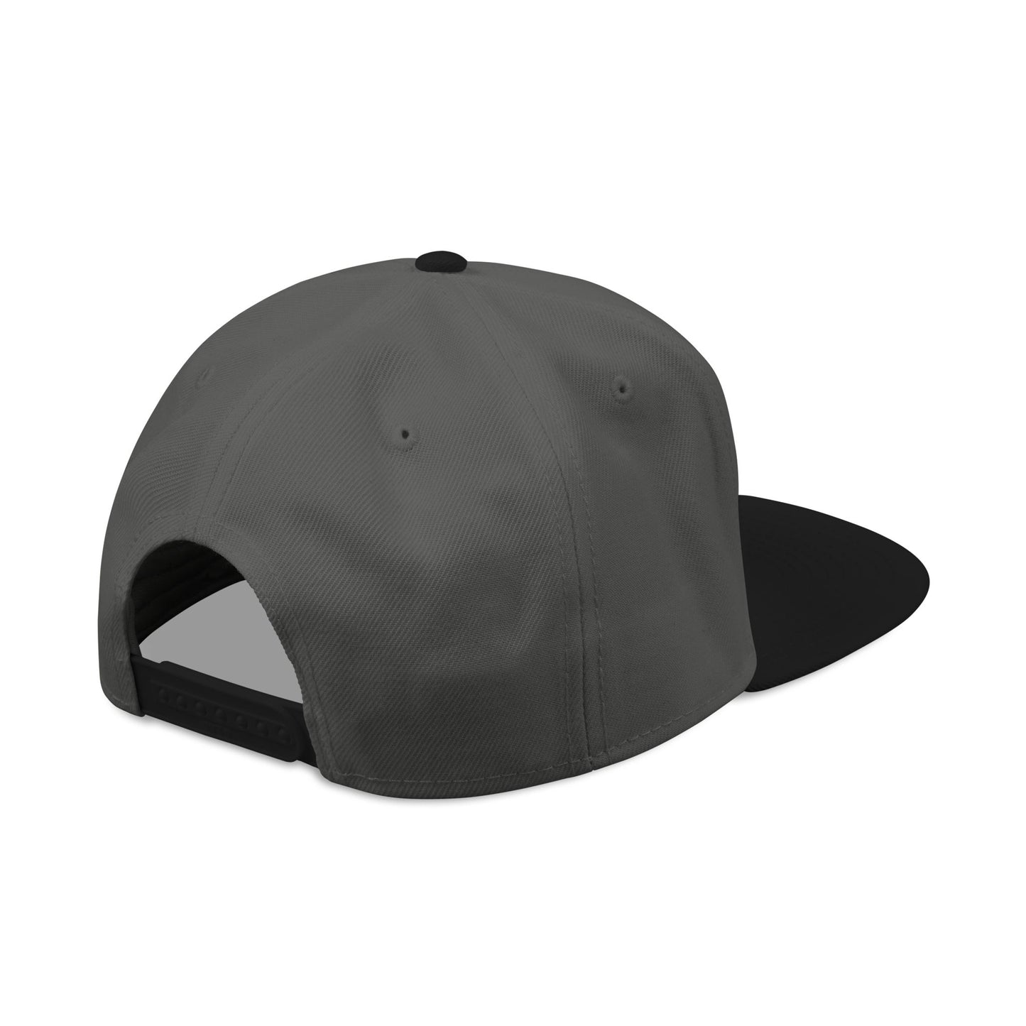 God Heals Embroidered Paw Print Snapback Hat