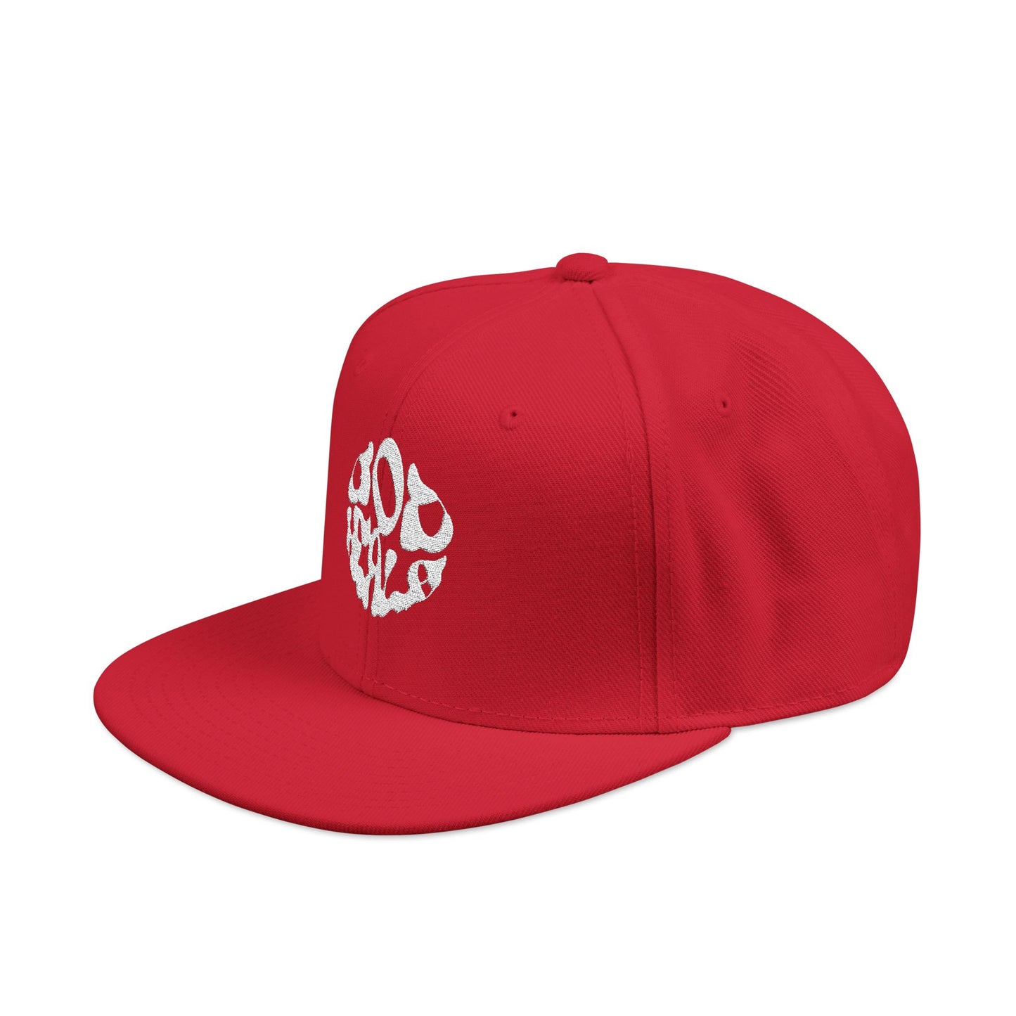 God Heals Embroidered Paw Print Snapback Hat