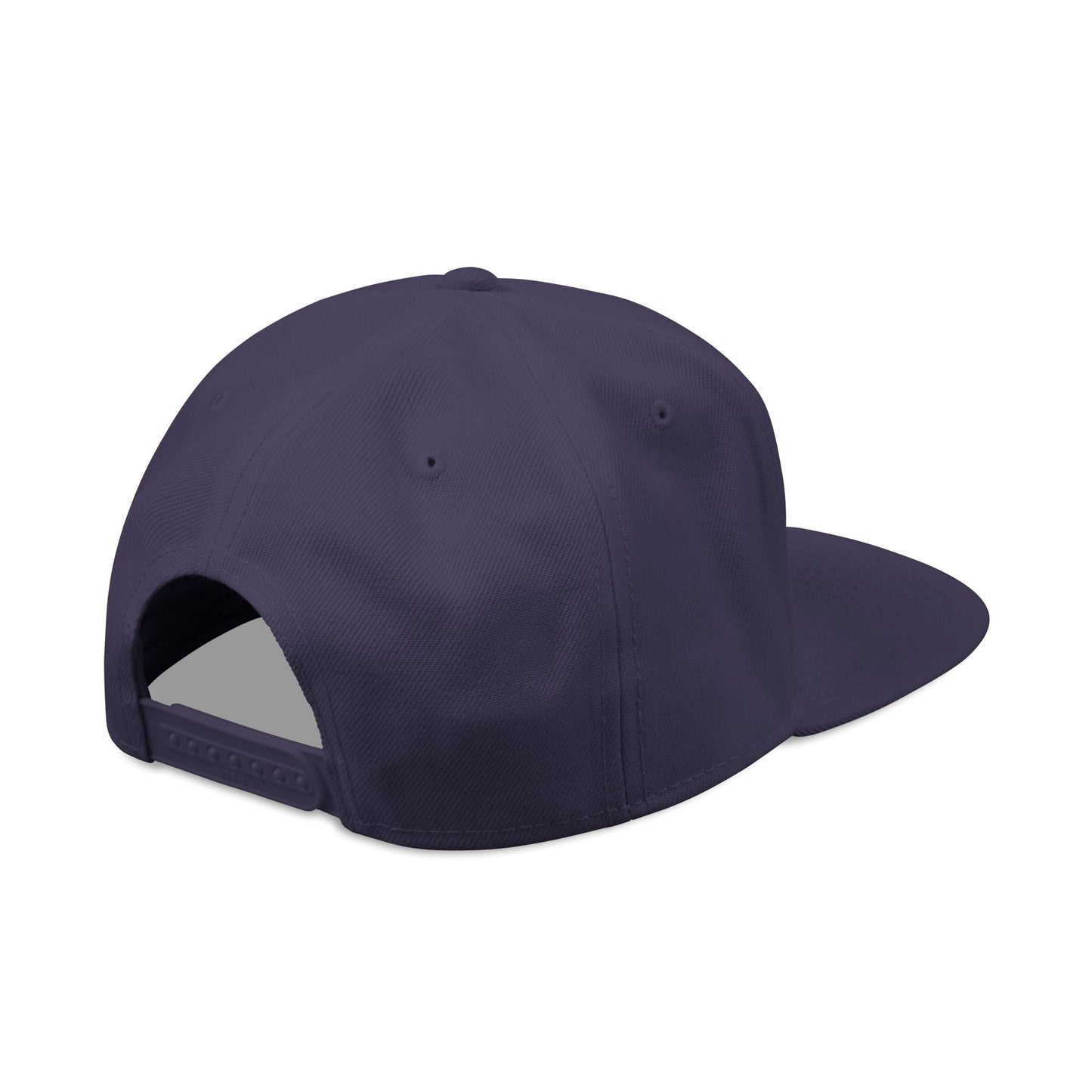 God Heals Embroidered Paw Print Snapback Hat