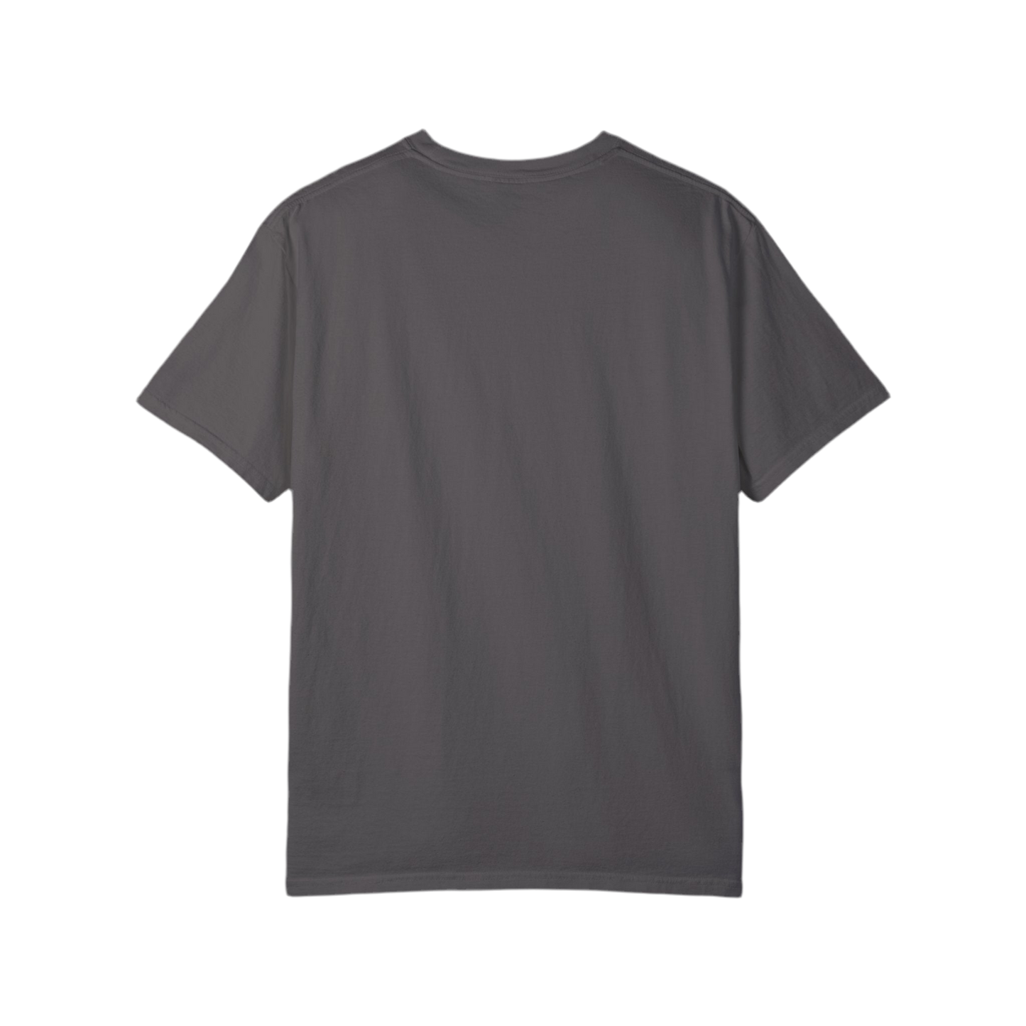 “He Heals The Brokenhearted” Unisex Garment-Dyed T-Shirt