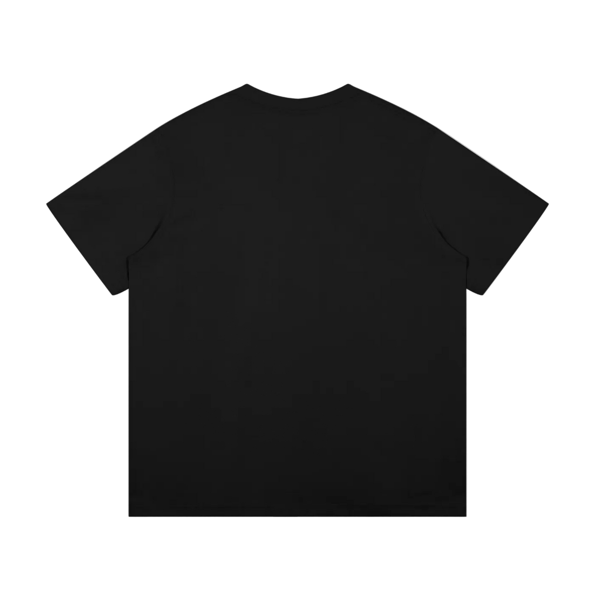 Unisex Mid-Weight Cotton T-Shirt